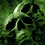 ACiD_GRiM